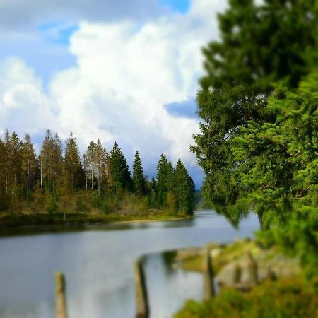 Chalet Platzhirsch Braunlage Εξωτερικό φωτογραφία